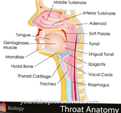 Fistula tekak