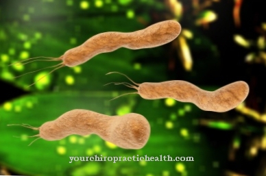 Helicobacter pylori-infektion