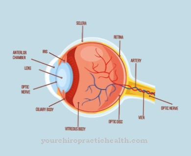 Højde retinopati