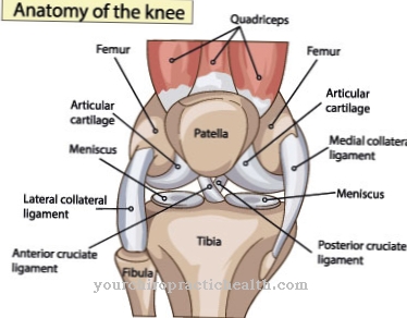 Air mata ligamen posterior