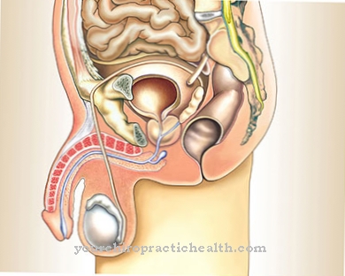 Distopia testicolare