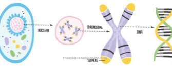 homocystinuria