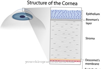 Corneal ulcer