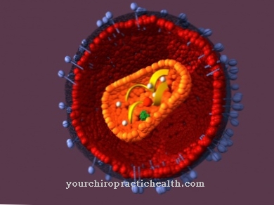 Virus dell'immunodeficienza umana