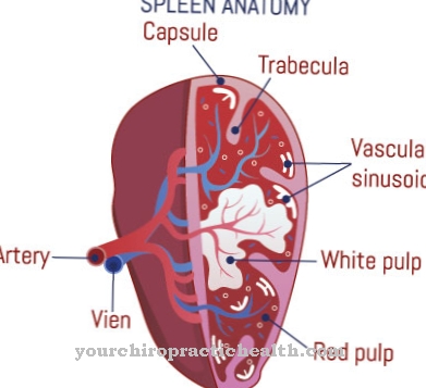 Hypersplenism