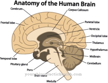 Anterior pituitary insufficiency