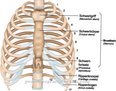 Keel breast