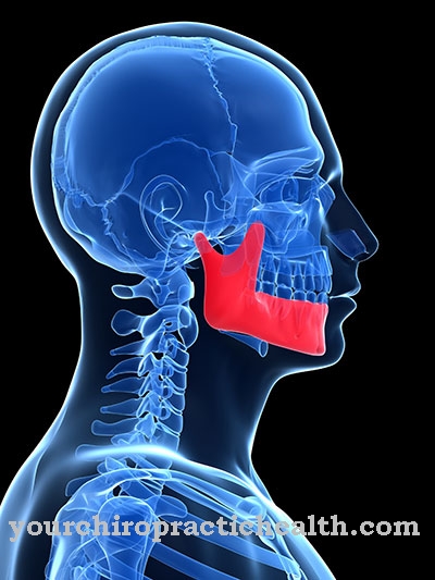 Craniomandibular Dysfunction