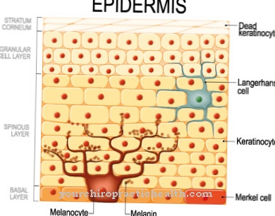 Lichen planus (lichen planus)