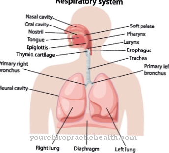 Enfermedad pulmonar