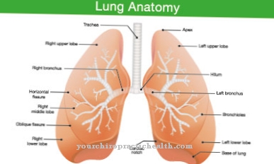 Pulmonary hypoplasia