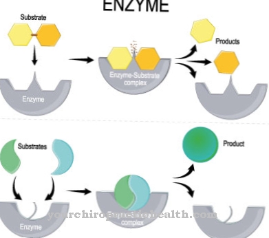 Lysosomal storage disease