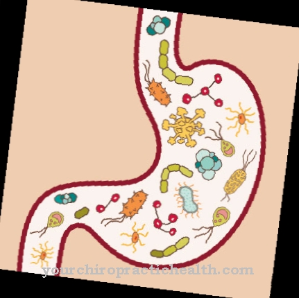 abdominal influenza