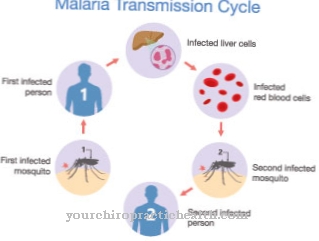 malaria