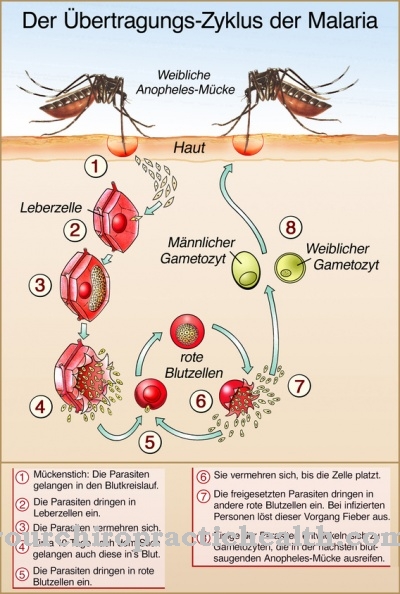 Mosquito bite