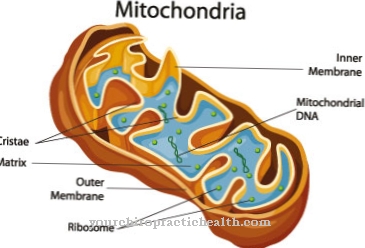 Mitochondriale ziekte