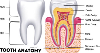 Molar Incisor Hypomineralization