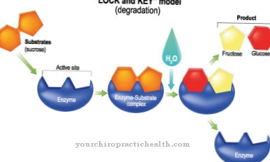 Pompe disease