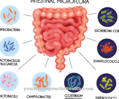 Whipple's disease