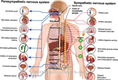 Multiple system atrophy