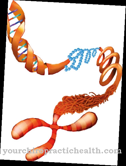 Myotonia congenita Becker