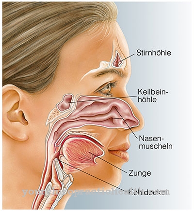 Infection des sinus