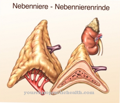 Insuficiencia suprarrenal