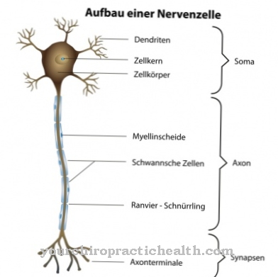 Nervinflammation