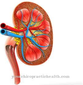 Kanser pelvis renal