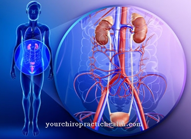 Kidney congestion