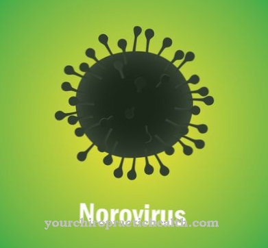 Norovírus (infecção por norovírus)