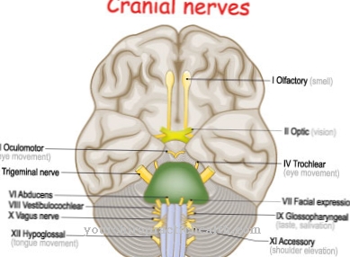 Oculomotor palsy