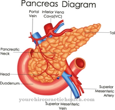 Annular pancreas