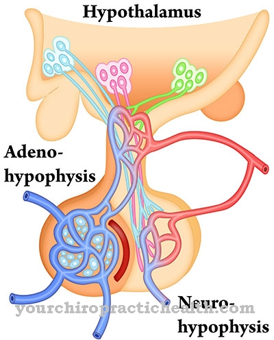 panhypopituitarism