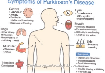 Parkinsonova choroba