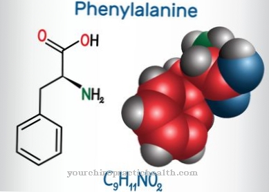 Fenilketonuria (PKU)