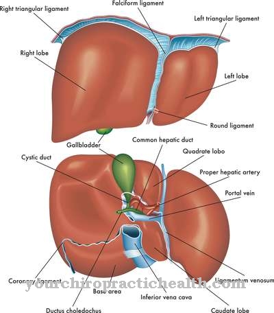 Portale hypertensie