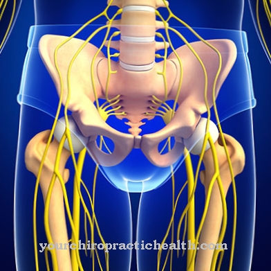 Neuralgia pudendal