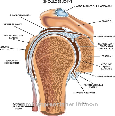 Pulley lesion