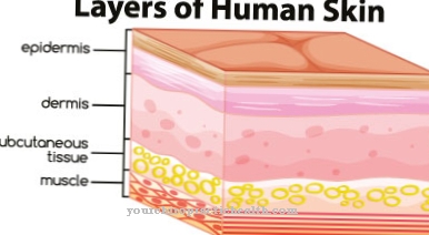 Pyoderma