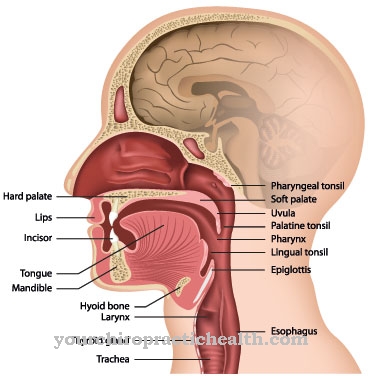 Cáncer de garganta