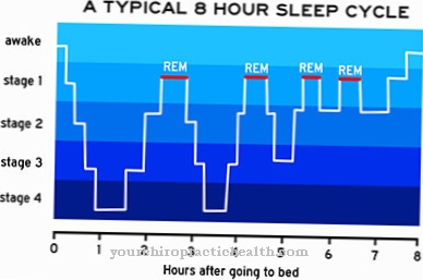 Disturbo comportamentale del sonno REM