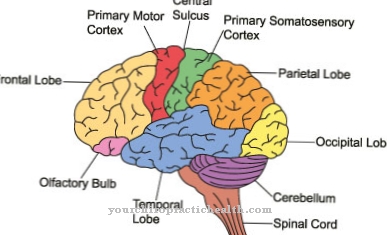 Cortical blindness