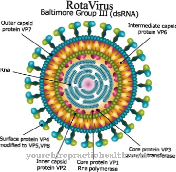 Nhiễm virus rota