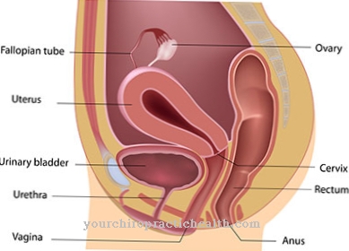 Vaginal cancer (vaginal cancer)