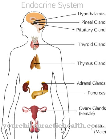 Schmidt syndrome