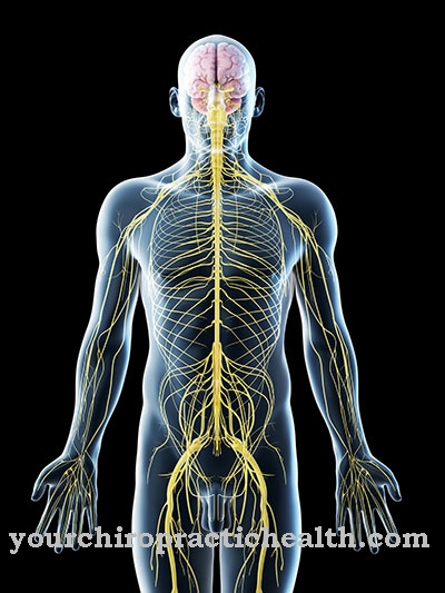 Sindrome di Segawa