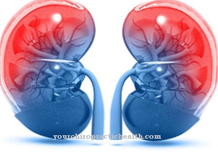 Sensenbrenner Syndrome