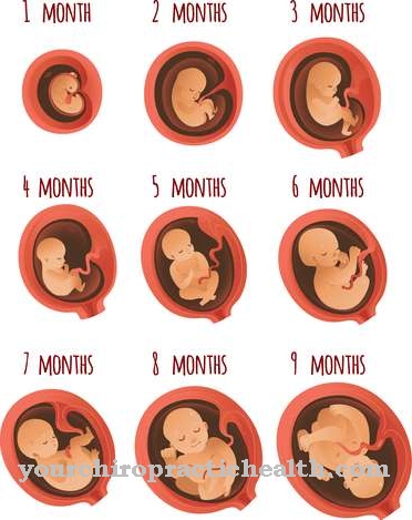 Piccolo per l'età gestazionale (SGA)