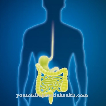 Ruokatorven diverticulum (ruokatorven diverticulum)